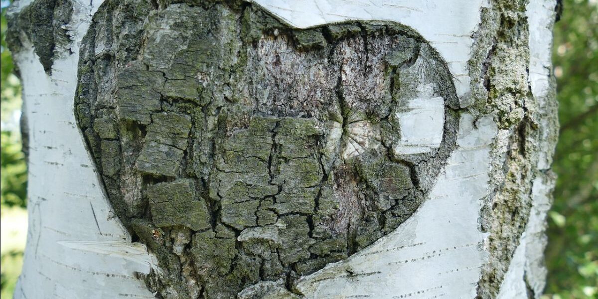 2e325ccf-1367-1ed3-6da3-2ec0160961d9