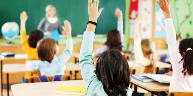 tzav-education