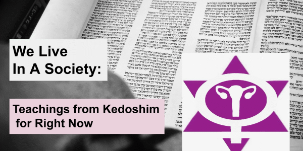 barenblat_kedoshim