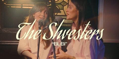 shvesters
