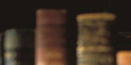 parsha-commentary-538×218