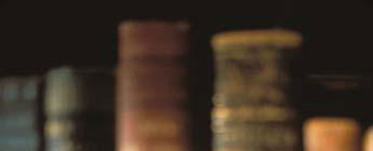 parsha-commentary-538×218