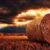 Rabbi Jonathan Sacks, z’l:  Emor Faith as a Journey