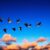 Rabbi Jonathan Sacks, z/l: Beha’alotekha Moses’ Challenge