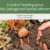 Rabbi Miriam Margles: Sukkot A Sukkot Teaching about Holy Garbage and Sacred Leftovers